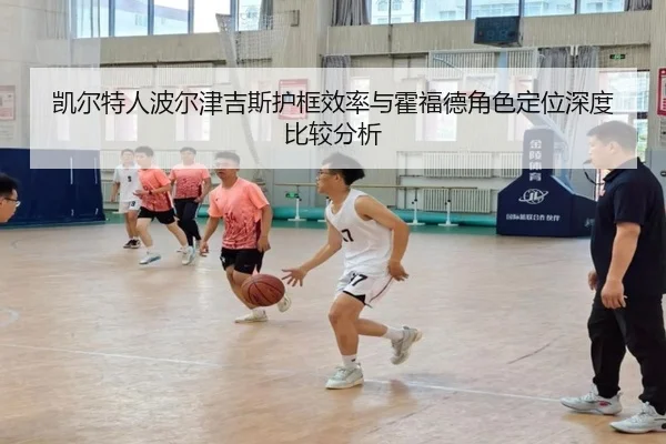 凯尔特人波尔津吉斯护框效率与霍福德角色定位深度比较分析