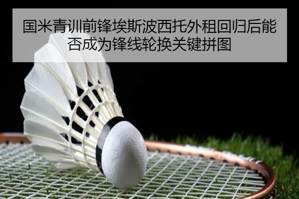 国米青训前锋埃斯波西托外租回归后能否成为锋线轮换关键拼图