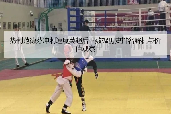 热刺范德芬冲刺速度英超后卫数据历史排名解析与价值观察