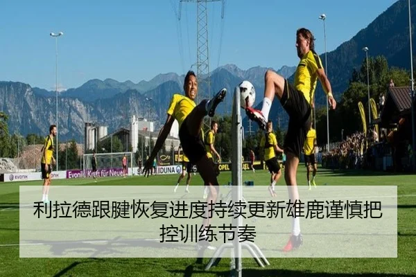利拉德跟腱恢复进度持续更新雄鹿谨慎把控训练节奏